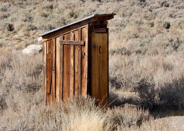 Outhouse Greeting Card featuring the photograph Bodie Outhouse by Art Block Collections