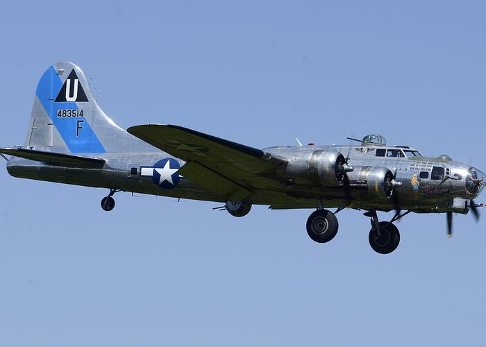 Airplane Greeting Card featuring the photograph Boeing B-17G Flying Fortress Sentimental Journey N9323Z Falcon Field April 28 2013 by Brian Lockett