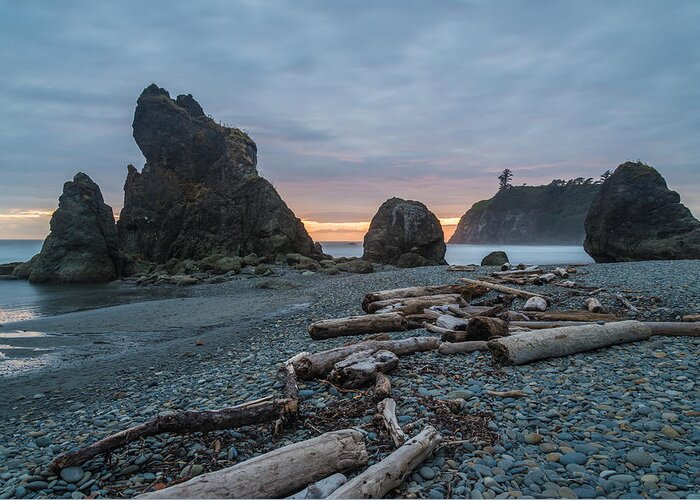 Olympic National Park Greeting Card featuring the photograph Bone Yard by Kristopher Schoenleber