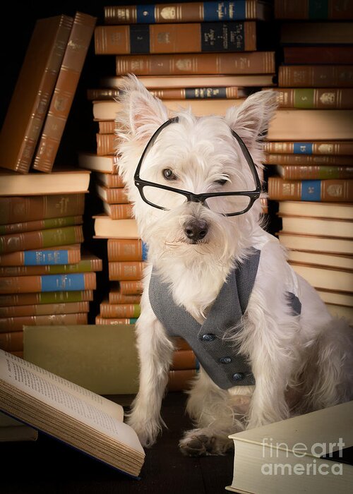 Books Greeting Card featuring the photograph Bookworm Dog by Edward Fielding