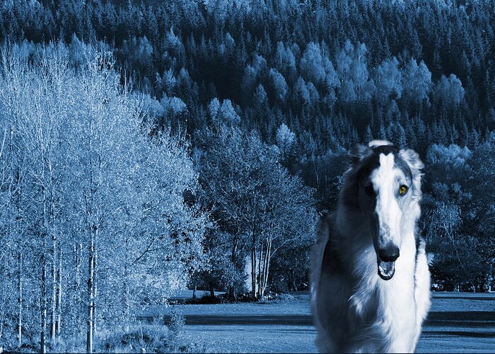 Borzoi Greeting Card featuring the photograph Borzoi wolf hound emerging from dark blue forest by Christian Lagereek
