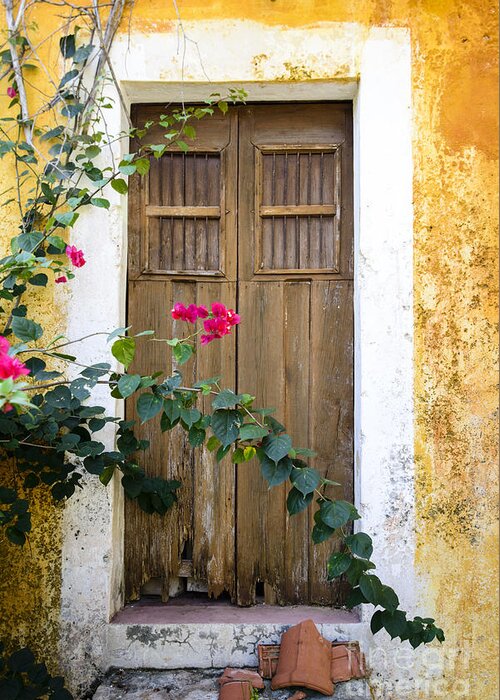 Architecture Greeting Card featuring the photograph Bougainvillea and wooden door by Oscar Gutierrez