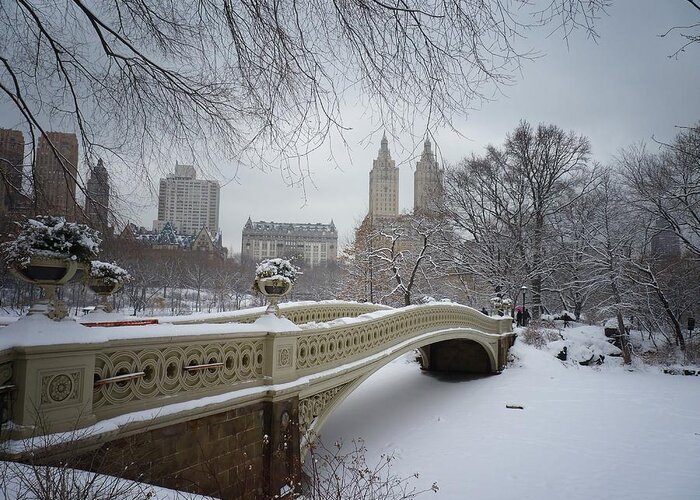 Landscape Greeting Card featuring the photograph Bow Bridge Central Park in Winter by Vivienne Gucwa