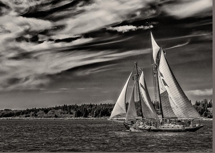 Windjammer Greeting Card featuring the photograph Bowditch No. 1 by Fred LeBlanc