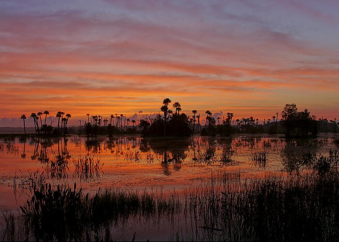 Orlando Greeting Card featuring the photograph Breathtaking Florida by Brian Kamprath