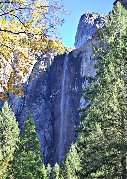 7182 Greeting Card featuring the photograph Bridalveil in Yosemite by Gordon Elwell