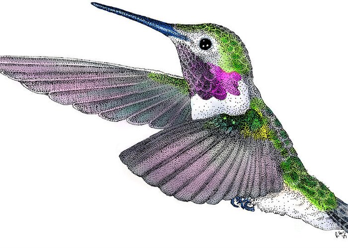 Art Greeting Card featuring the photograph Broad-tailed Hummingbird by Roger Hall