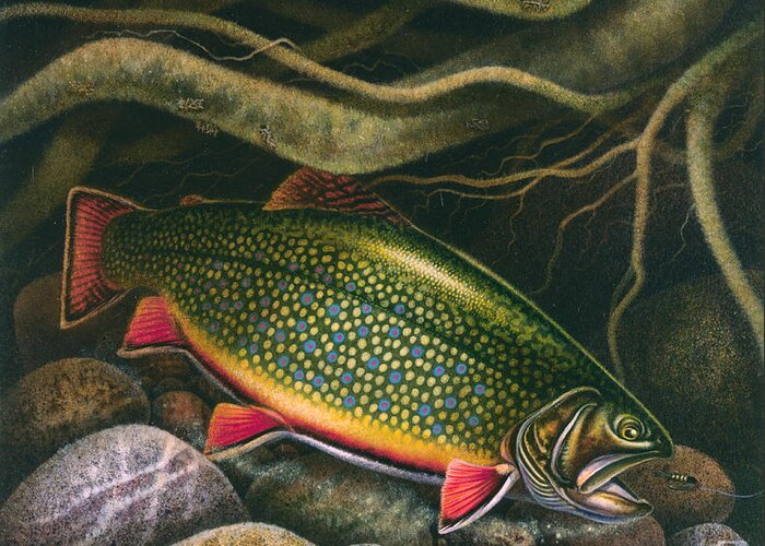 Jon Q Wright Greeting Card featuring the painting Brook Trout Lair by JQ Licensing