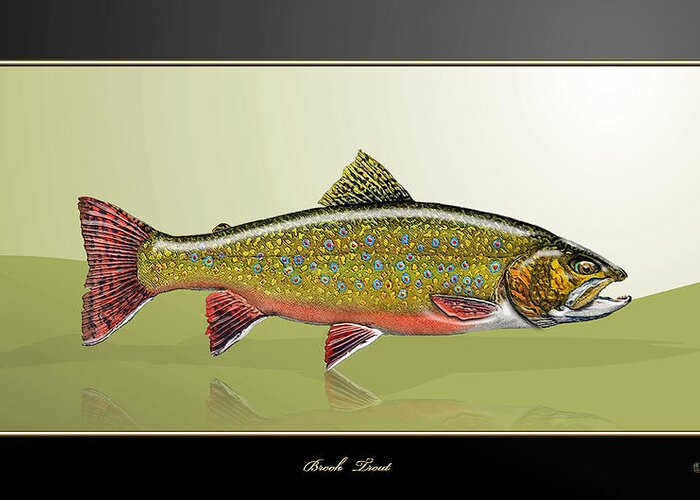 'fishing Corner' Collection By Serge Averbukh Greeting Card featuring the digital art Brook Trout by Serge Averbukh