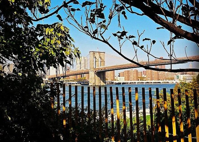 Newyorkcity Greeting Card featuring the photograph Brooklyn Bridge From The Garden Of by Picture This Photography