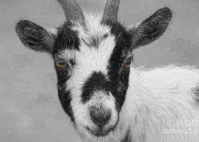 Goat Greeting Card featuring the digital art Brown Eyed Goat by Jayne Carney
