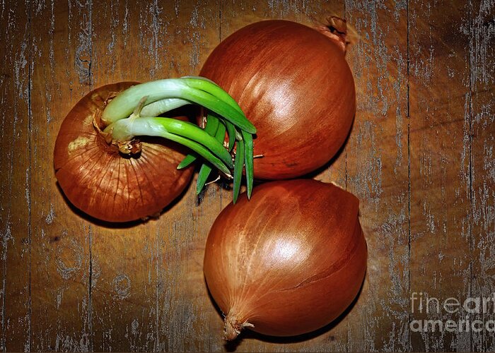 Photography Greeting Card featuring the photograph Brown Onions by Kaye Menner