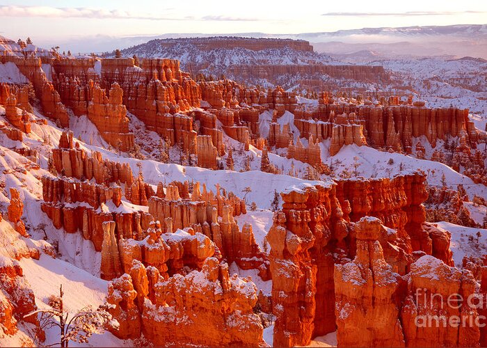 Landscape Greeting Card featuring the photograph Bryce Canyon - 11 by Benedict Heekwan Yang