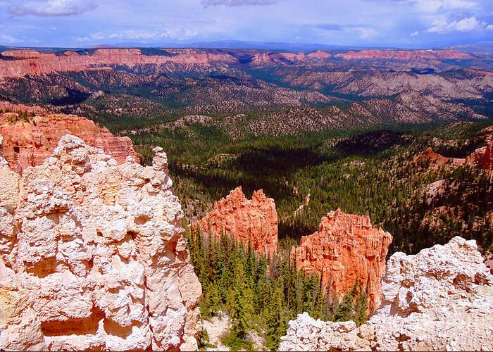 Bryce Greeting Card featuring the photograph Bryce Canyon National Park					 by Ann Johndro-Collins