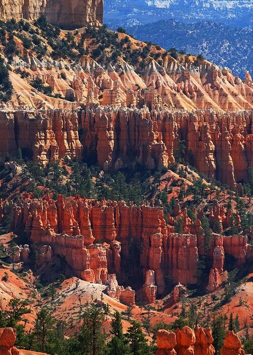Bryce Canyon Greeting Card featuring the photograph Bryce Canyon Utah by Tom Janca