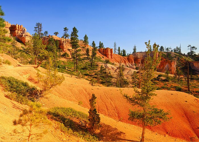 Bryce Canyon Greeting Card featuring the photograph Bryce Delicate Landscape by Greg Norrell