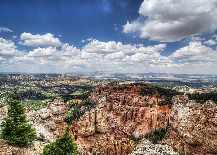 Bryce Canyon Greeting Card featuring the photograph Bryce Point by Tammy Wetzel