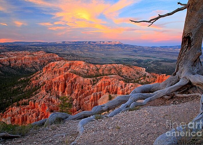 Bryce Canyon Greeting Card featuring the photograph Bryce Sunset Glow by Adam Jewell