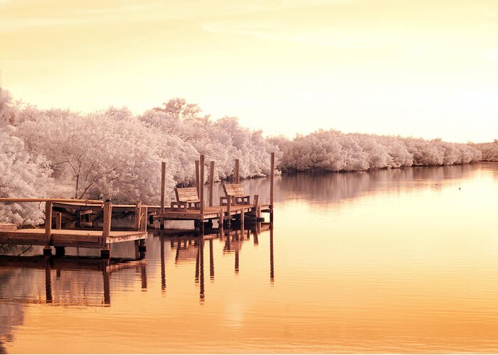 Near Greeting Card featuring the photograph Bull Frog Creek Gibsonton FL USA near Infrared by Sally Rockefeller