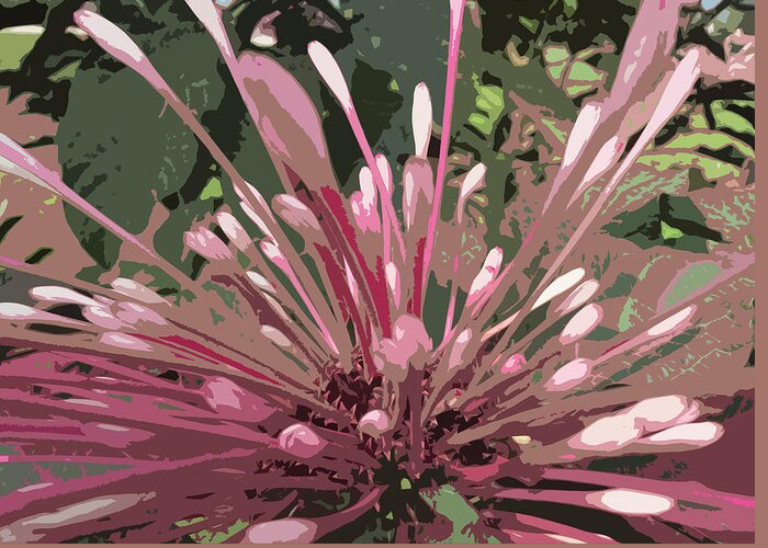 Pink Greeting Card featuring the photograph Burst of color 1 by Alan Metzger
