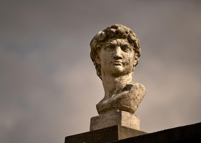 Bust Greeting Card featuring the photograph Bust of Apollo by Nadalyn Larsen