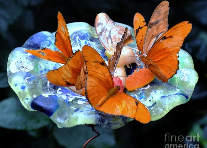 Butterfly Greeting Card featuring the digital art Butterflies by Dale  Ford
