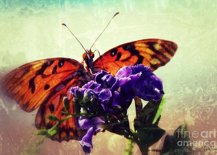 Butterfly Kissed Greeting Card featuring the photograph Butterfly Kissed by Darla Wood