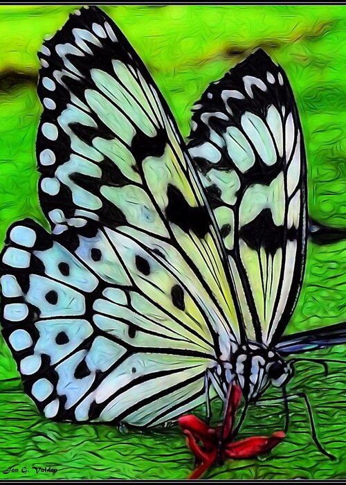 Butterfly Greeting Card featuring the painting Butterfly on A Lily Pad by Jon Volden