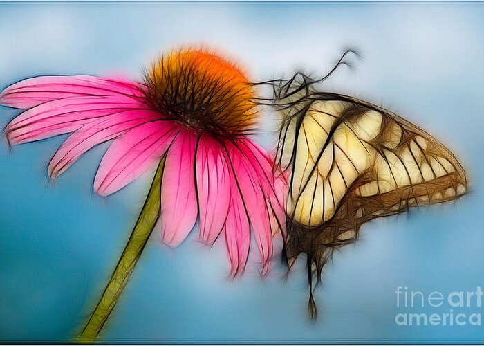 Artistic Greeting Card featuring the photograph Butterfly on Flower by Jerry Fornarotto
