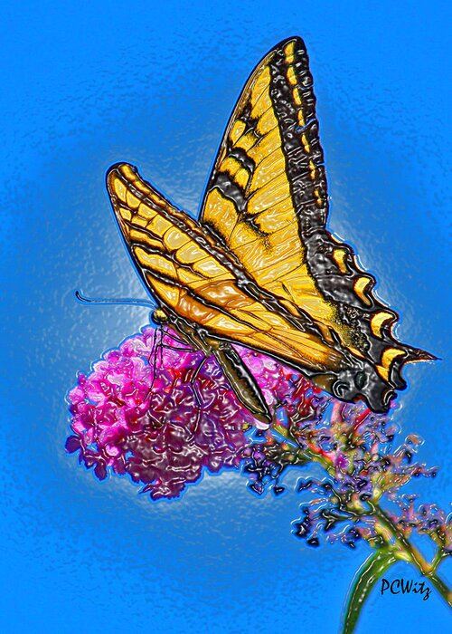 Butterfly Greeting Card featuring the photograph Butterfly by Patrick Witz