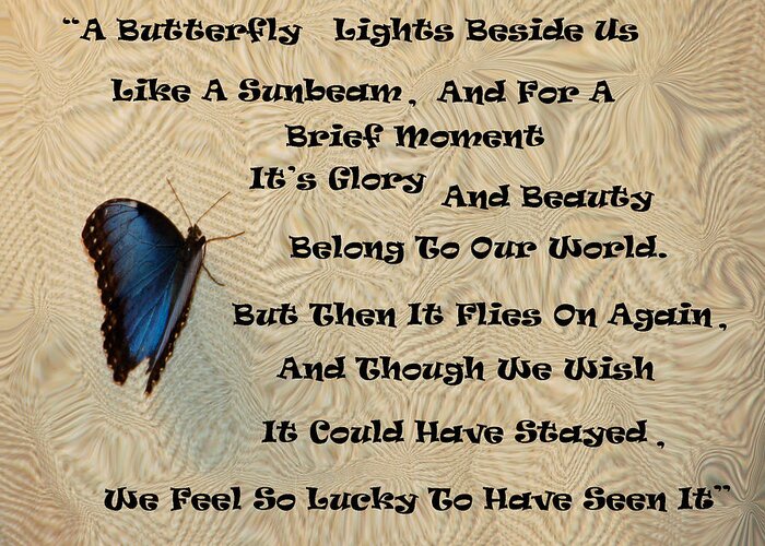 Butterfly Greeting Card featuring the photograph Butterfly Poem by Aimee L Maher ALM GALLERY