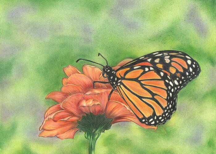 Butterfly Greeting Card featuring the drawing Butterfly by Troy Levesque