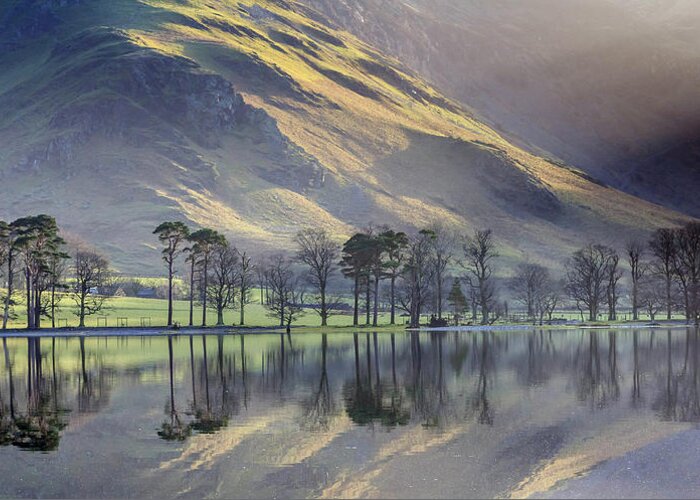Scenics Greeting Card featuring the photograph Buttermere Pines by John Lever Photography.