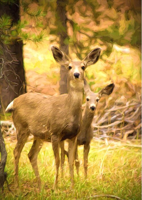 Photo Manipulation Greeting Card featuring the photograph By Mama's Side - Photo Manipulation - Mule Deer - Casper Mountain - Casper Wyoming by Diane Mintle
