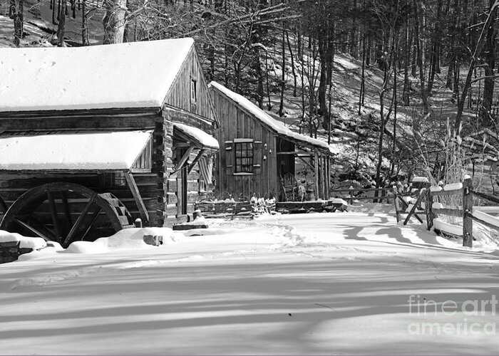 Paul Ward Greeting Card featuring the photograph Cabin Fever in Black and White by Paul Ward