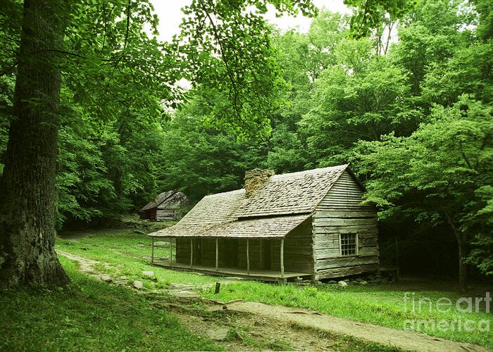 Tennessee Greeting Card featuring the photograph Cabin in the Smokey Mtns by Teri Atkins Brown
