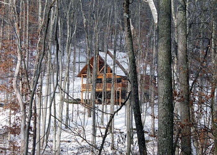 Ohio Greeting Card featuring the photograph Cabin in the Woods by Wendy Gertz