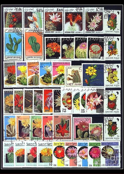 Stamp Greeting Card featuring the photograph Cactus Postage Stamps by Renee Trenholm