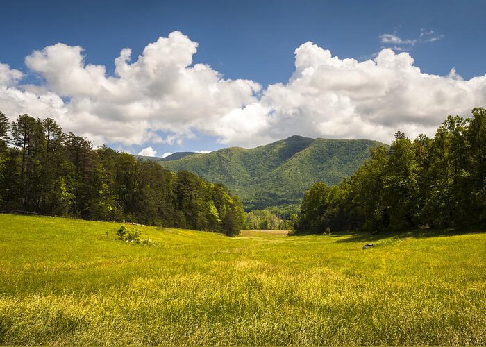 Cades Cove Greeting Card featuring the photograph Cades Cove Great Smoky Mountains National Park - Gold and Blue by Dave Allen