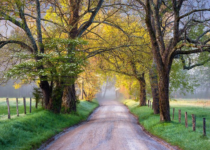Cades Cove Greeting Card featuring the photograph Cades Cove Great Smoky Mountains National Park - Sparks Lane by Dave Allen