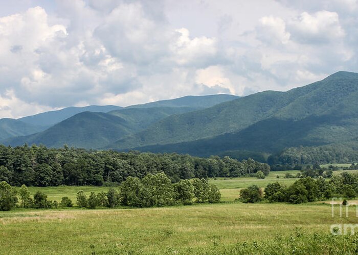 Landscape Greeting Card featuring the photograph Cades Cove In Summer by Todd Blanchard