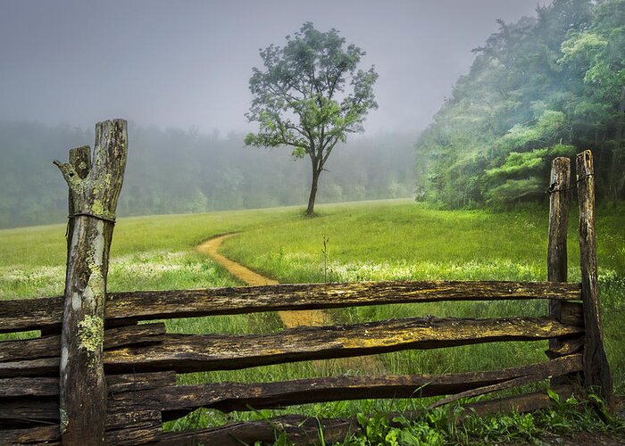 Appalachia Greeting Card featuring the photograph Cades Cove Misty Tree by Debra and Dave Vanderlaan