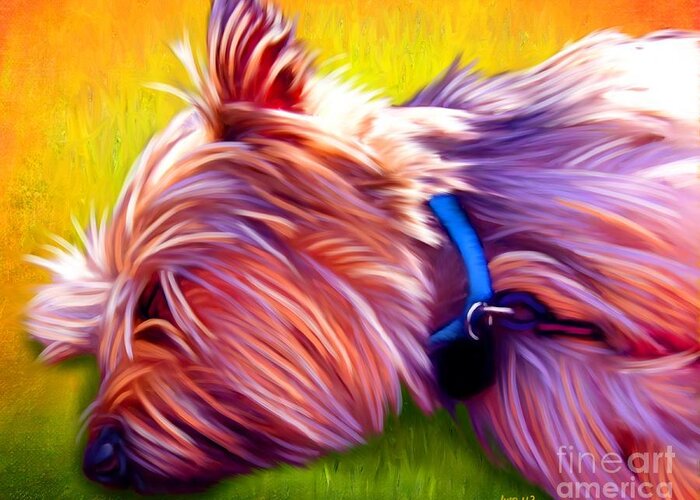 Dog Paintings Greeting Card featuring the painting Cairn Terrier by Iain McDonald