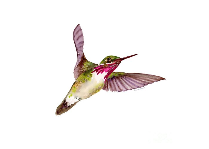 Bird Greeting Card featuring the painting Calliope Hummingbird by Amy Kirkpatrick