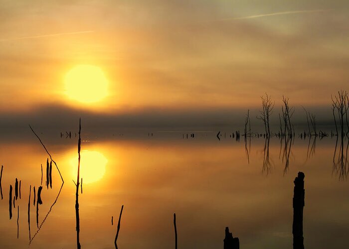 Water Greeting Card featuring the photograph Calm at Dawn by Roger Becker