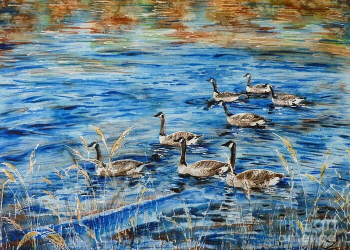 Canada Geese Greeting Card featuring the painting Canada Geese by Zaira Dzhaubaeva