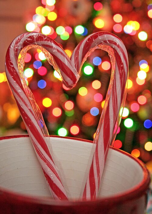 Candy Cane Greeting Card featuring the photograph Candy Cane Heart by Barbara West