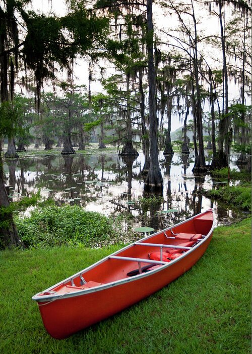 Bald Cypress Greeting Card featuring the photograph Canoe By Caddo Lake, Texas's Largest by Larry Ditto