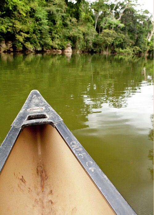Adventure Greeting Card featuring the photograph Canoeing The Macal River In Jungle by Michele Benoy Westmorland