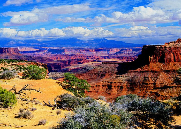 Western Landscape Greeting Card featuring the photograph Canyonlands by Frank Houck